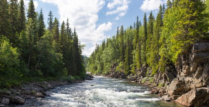 fluss